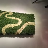 Moss ukras za ukrašavanje dnevnih soba