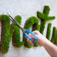 Moss je stabilizirao grafite