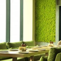 Svijetle zelena mahovina na kuhinjskom zidu