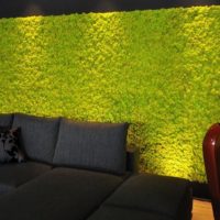 Crni kauč i zid od zelene mahovine