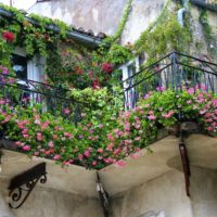 Piccolo balcone disseminato di fiori freschi