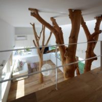 Alberi in un design d'interni per la casa