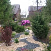 Colored mulch in a private garden