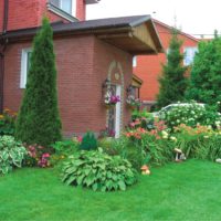 Hosts and daylilies in front of the front door