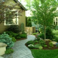 Winding path along the country house