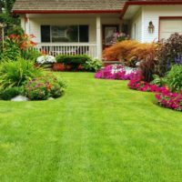 English lawn in private garden design