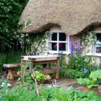 Rustic residential building