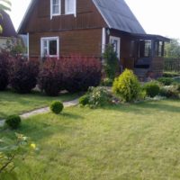 Green lawn in front of a country house