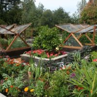 Wooden greenhouses in a summer cottage