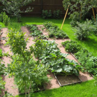 Place pour la culture de légumes sur une parcelle personnelle