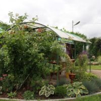 Flowerbed with hostages in front of a polycarbonate gazebo