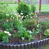 DIY flower bed made of wood