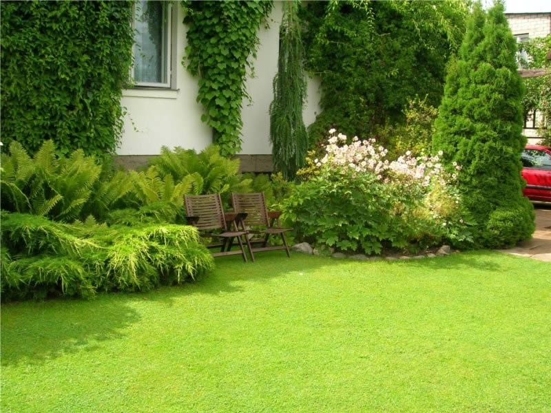 Erba a terra nel giardino di una casa di campagna