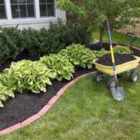 تستضيف أنيقة في حديقة flowerbed