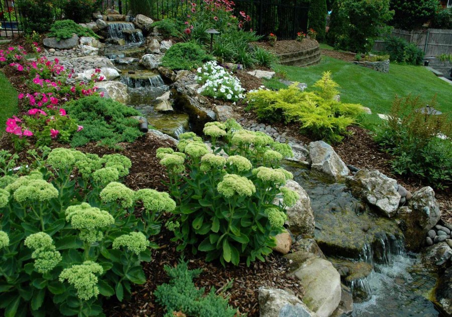 Alpine hill on the slope of the garden