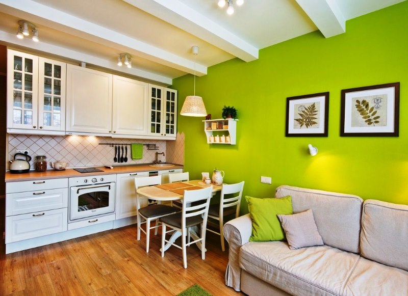 Kombinirani kuhinjski interijer u bijelo-zelenoj boji