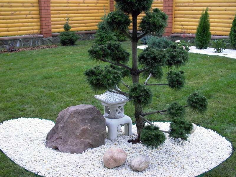 Minijaturna kompozicija u stilu japanskog vrta