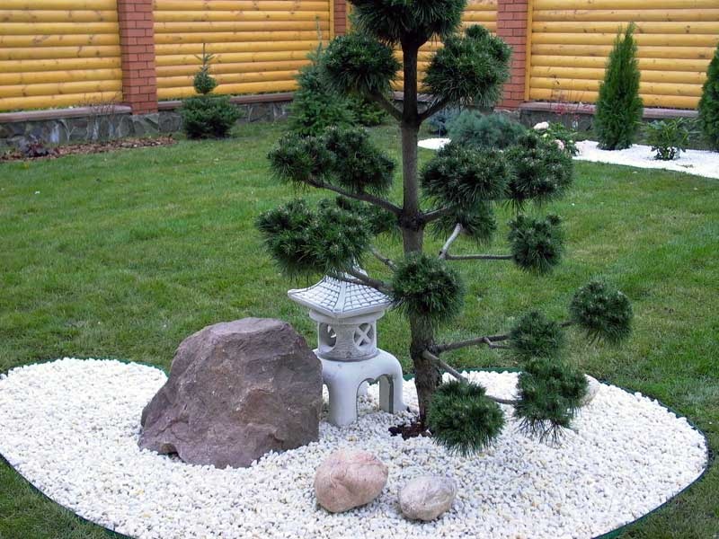 Miniatűr kompozíció a japán kert stílusában