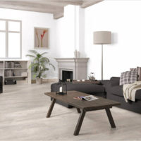 Mobilier noir dans un salon lumineux