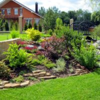 Alpine hill with bushes in the corner of a summer cottage