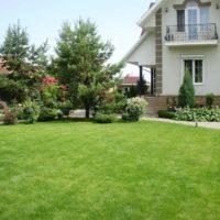 English lawn in the landscape design of a country house