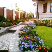 Worker of flowering annuals along the garden path