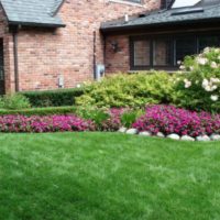 Mixborder with flowering perennials