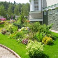 Alpine slide in the garden landscape