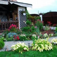 Plantes à fleurs dans la conception de jardin