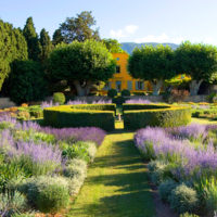 Formes géométriques dans un jardin de style classique