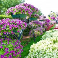 Giardinaggio verticale con vasi di fiori