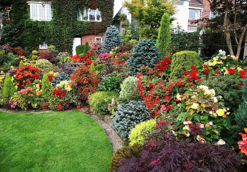 Using a mixborder in landscape design