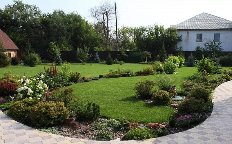 Making a mixborder on the lawn of a garden plot