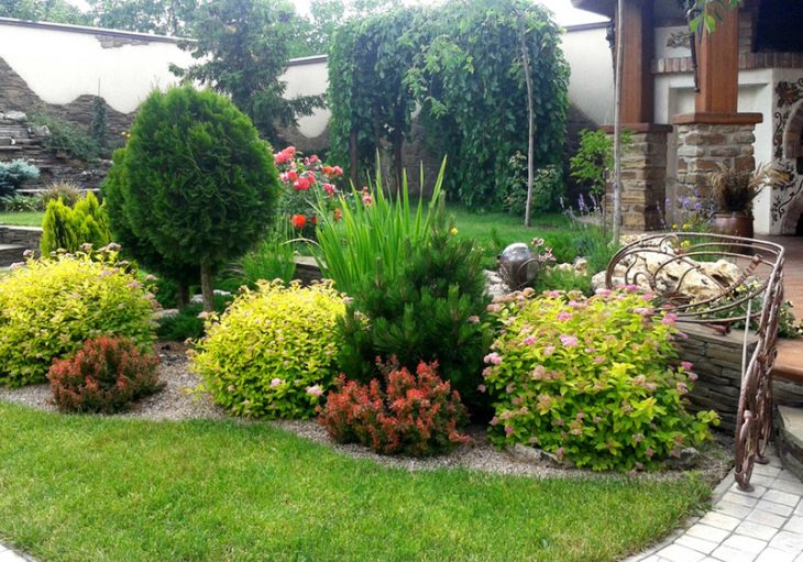 Perennial shrubs and herbaceous plants in the landscape of a private garden