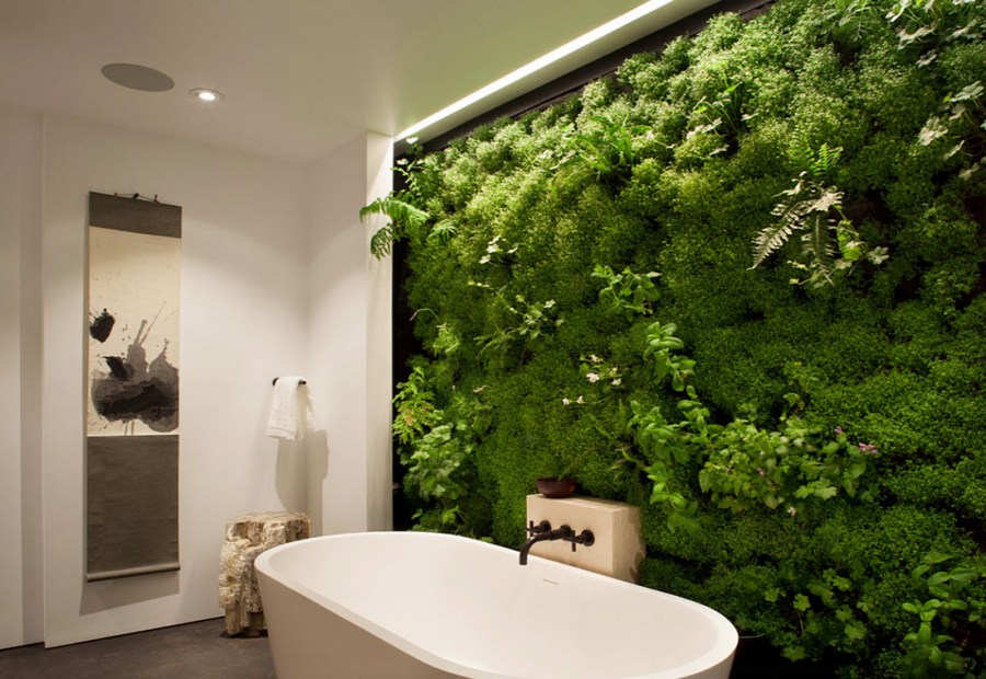 Fitostena u kupaonici od mahovine i drugih zelenih biljaka