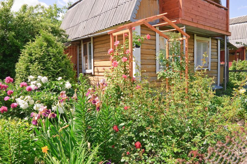 Rustic garden front garden design