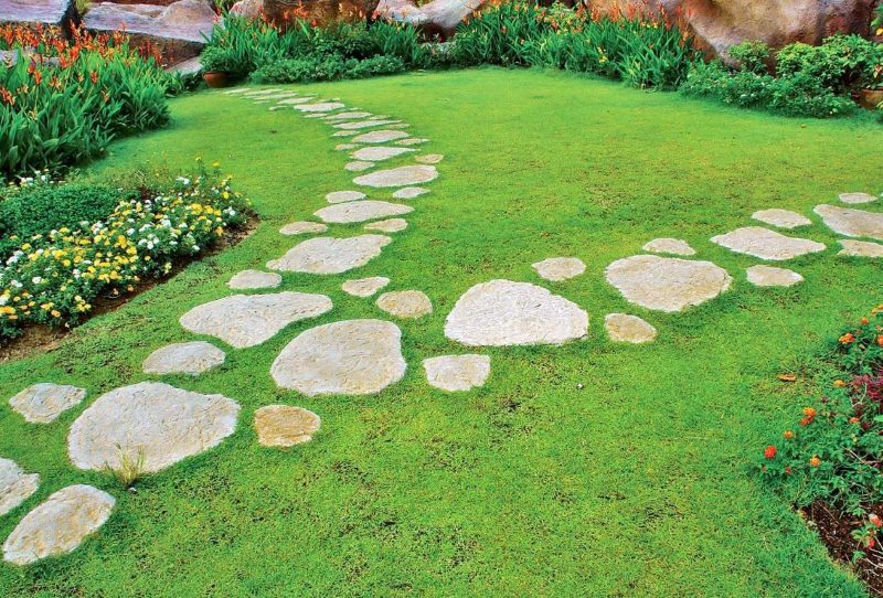 Passerelle en pierre naturelle dans un jardin privé