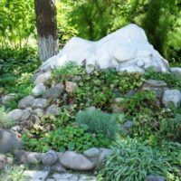 Alpine slide with shade-tolerant plants