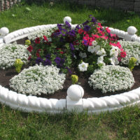 Berceau de bricolage pour fleurs en béton