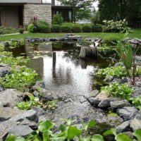 bassin artificiel avec des poissons dans le jardin