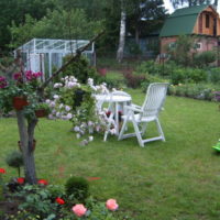 Mobili da giardino bianchi sul prato