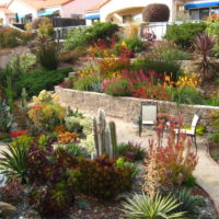 Jardin à plusieurs niveaux avec murs de soutènement