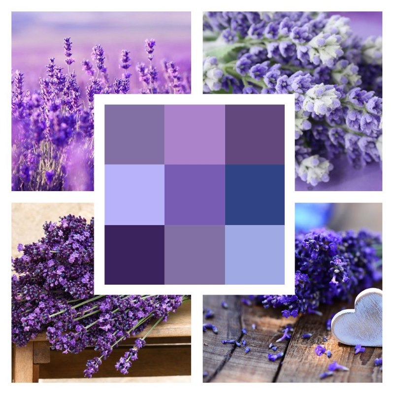 Varietà di tonalità lavanda nel design degli interni