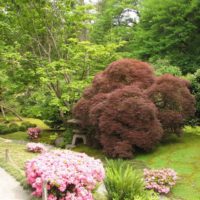 Paesaggistica fai-da-te di un giardino di campagna