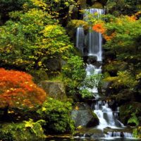 Chute d'eau dans la conception du jardin