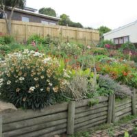 Retaining wall made of wood on a sloping suburban area