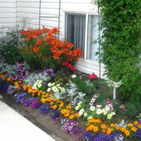 Parterre de fleurs près du porche d'une maison de campagne