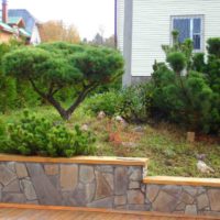 Concrete retaining wall with natural stone cladding