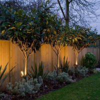 Wooden fence night illumination