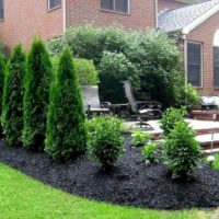 Pyramidal plants in garden design